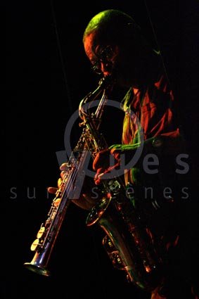 Steve Potts