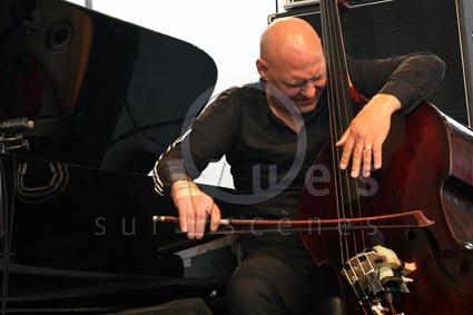 Dan Berglund