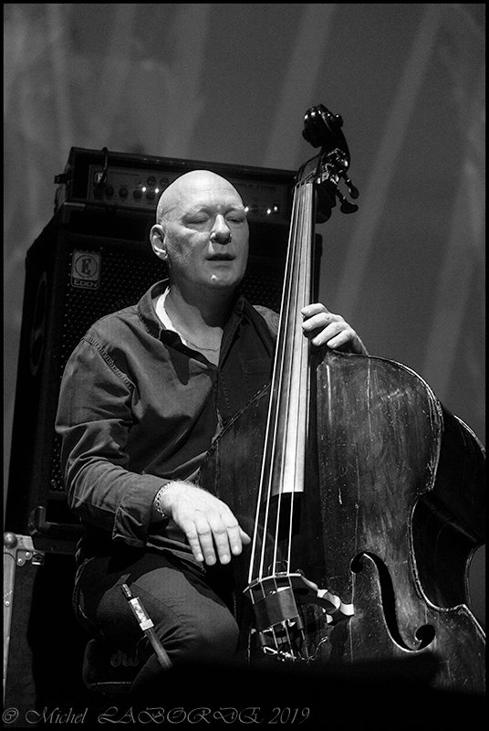 Dan Berglund