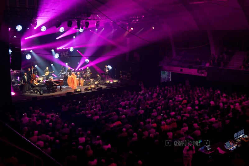 Pink Martini