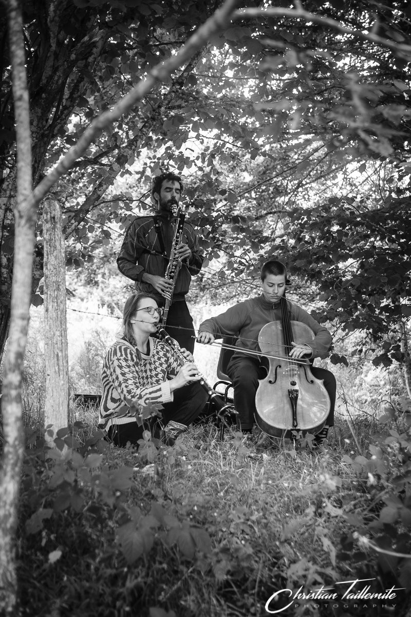« Dans les bois de Maucher » - Ensemble LIKΣN, Tom Jacques et stagiaires