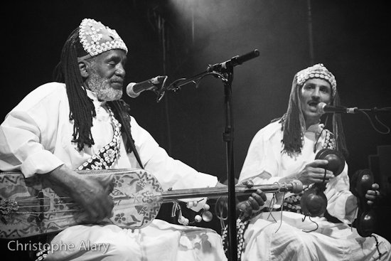 Les Gnawas du Maroc