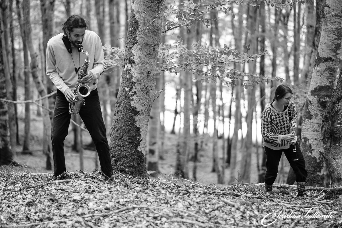 « Dans les bois de Maucher » - Ensemble LIKΣN, Tom Jacques et stagiaires