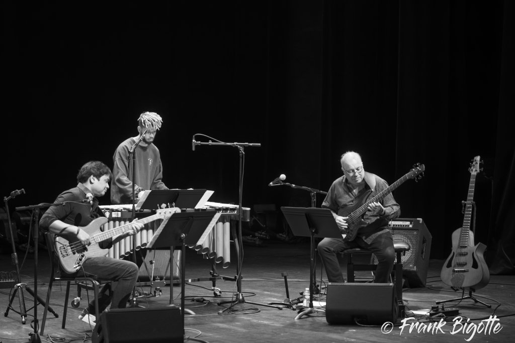 Frédéric Monino, Alfred Vilayleck,et